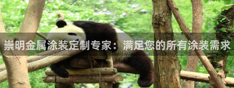 美高梅网络科技有限公司