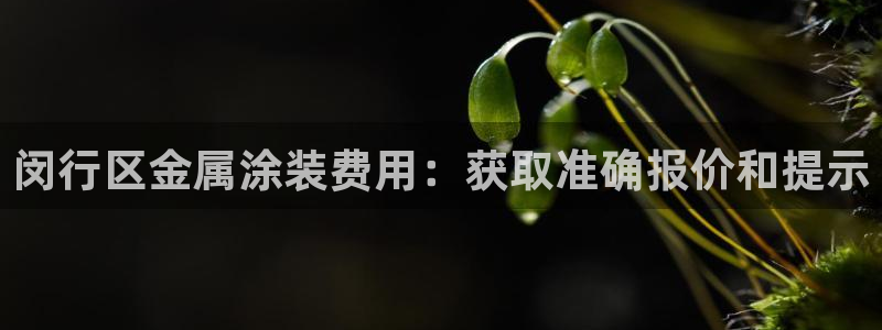 美高梅控股有限公司招聘