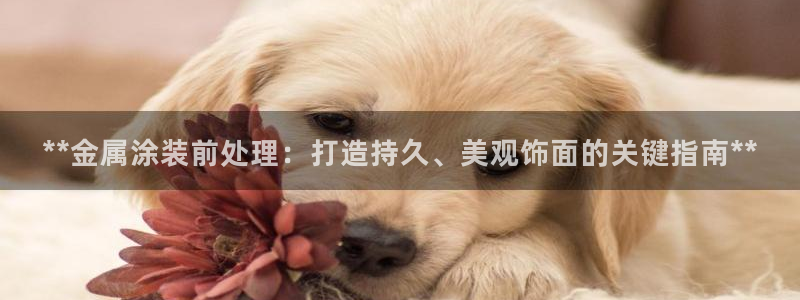 美高梅的狮子