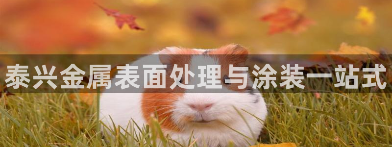 美狮美高梅dfs怎么预约