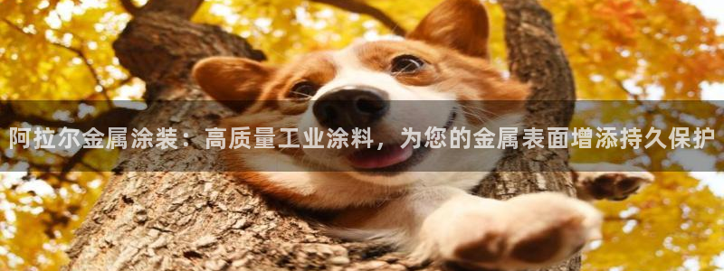 美高梅酒店附近美食