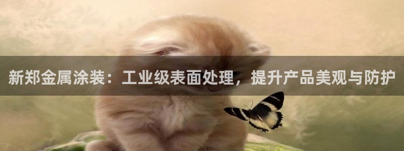 美高梅酒店品牌介绍