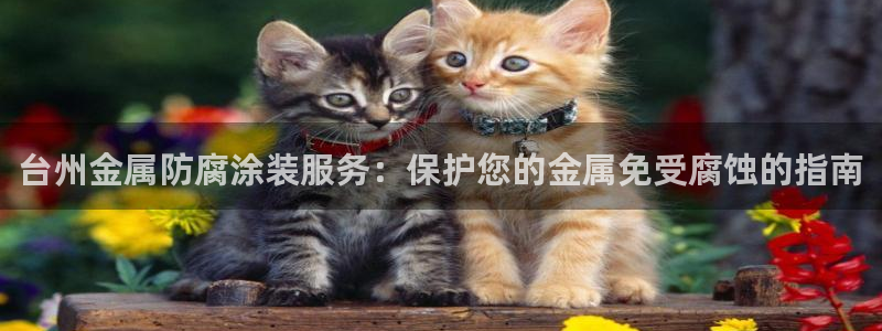 美高梅房价