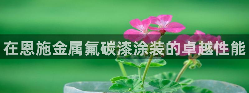 美高梅大酒店招聘信息最新