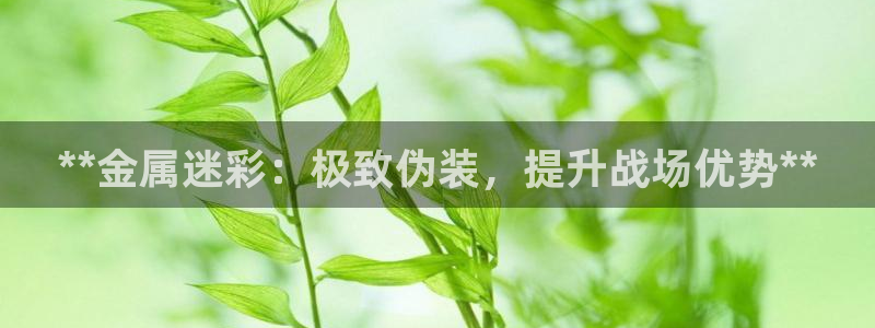 美高梅为什么叫这个名字