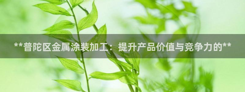 美高梅何超琼多少股份