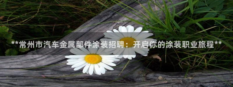 美高梅酒店会员卡