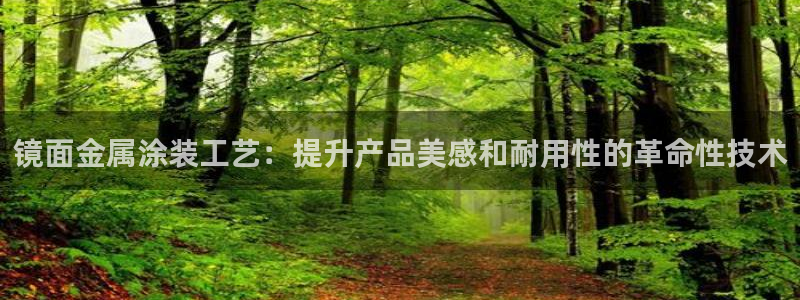 美高梅在澳门有几家