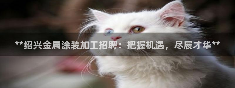 美高梅天幕广场