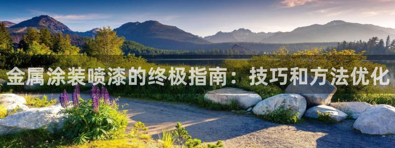 美高梅公司