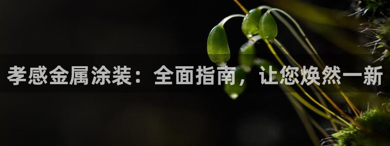 美高梅咖啡多少钱一杯啊