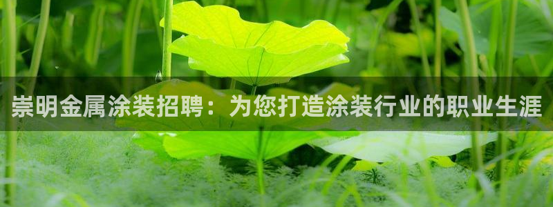 美高梅旗下酒店品牌