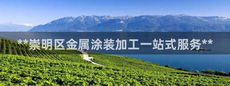 美高梅控股有限公司是国企吗