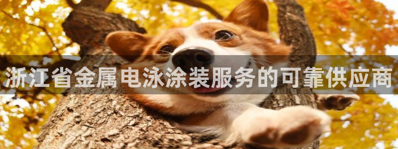 美高梅酒店会员卡