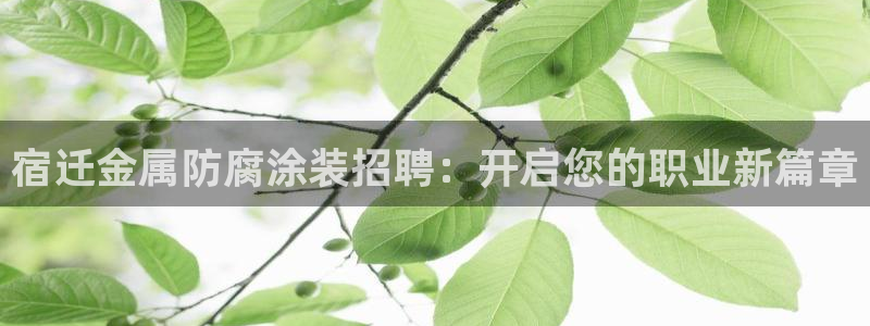 美高梅酒店用的什么洗发水