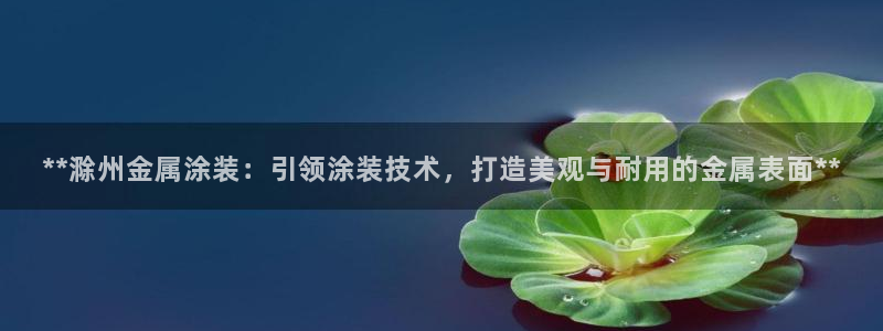 美高梅何超琼多少股份