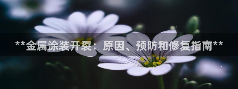 美高梅会员卡可以退吗