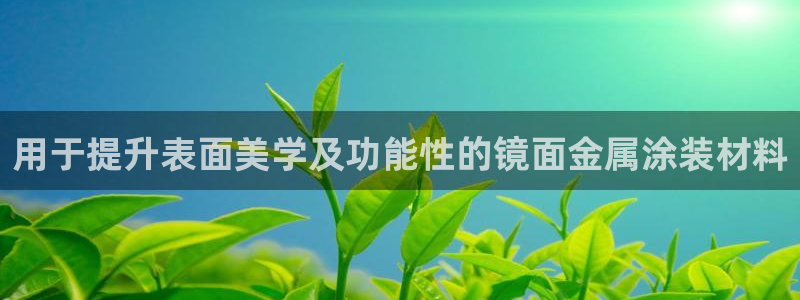 美高梅酒店管理有限公司