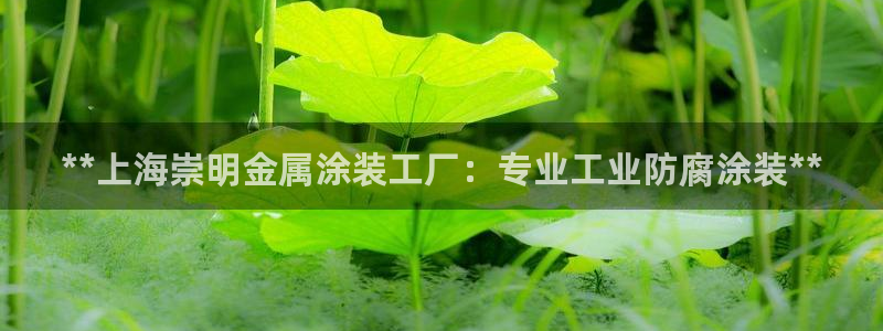 澳门几个美高梅