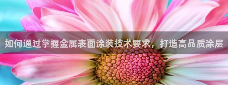 美高梅酒店年卡