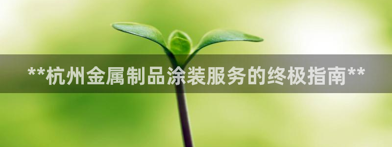美高梅大酒店老板
