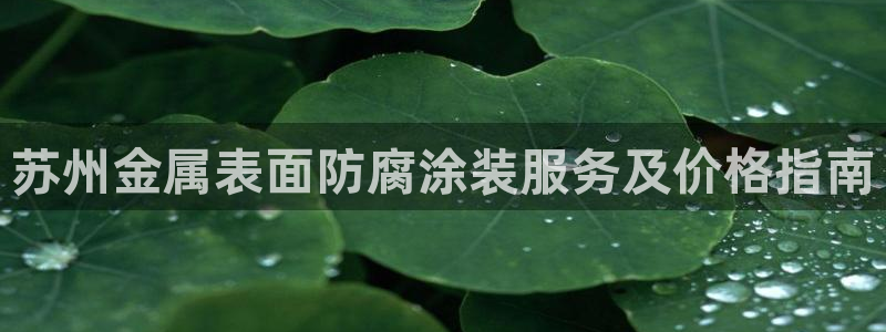 鲁能美高梅别墅什么时候入住