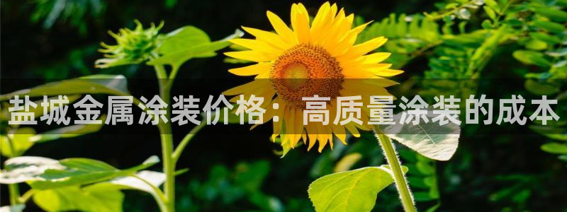美高梅属于什么档次的品牌