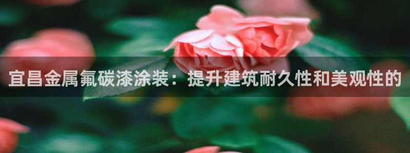 美高梅洗护用品