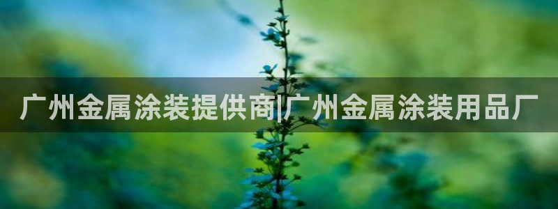 美高梅慈善晚宴