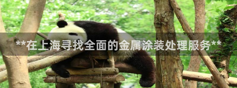 美高梅股票中国