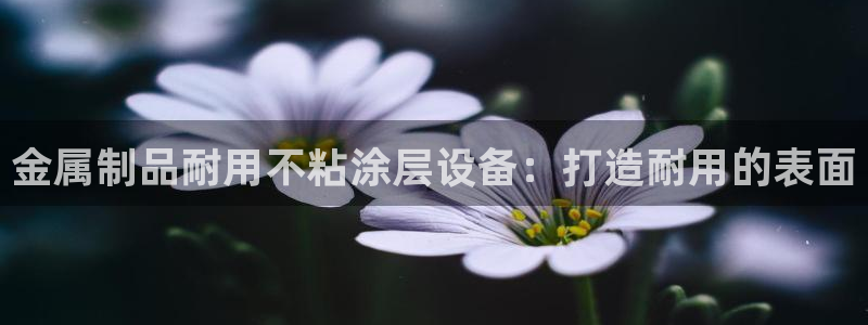 美高梅酒店中国店位置