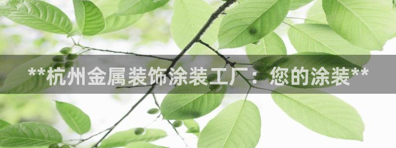 美高梅大酒店图片