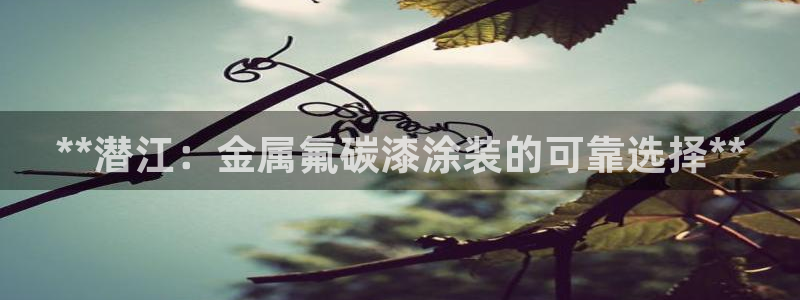 美狮美高梅酒店美食