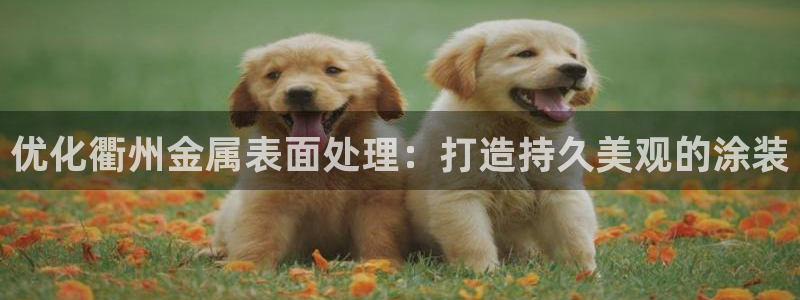 美高梅是谁的产业