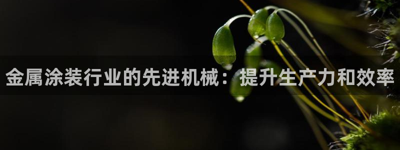 美高梅酒店床垫是什么品牌