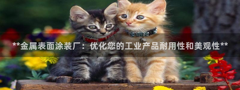 美高梅会员卡和新濠天地卡一样吗