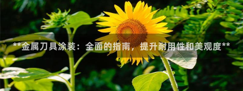 美高梅酒店怎么样