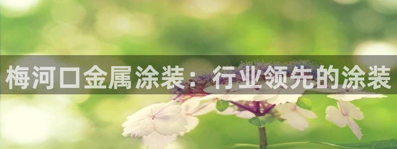 美高梅年卡
