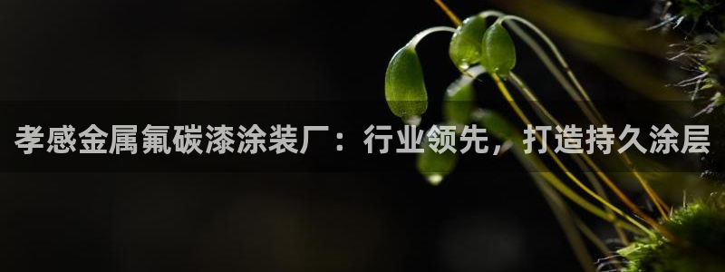美高梅公司的业务范围