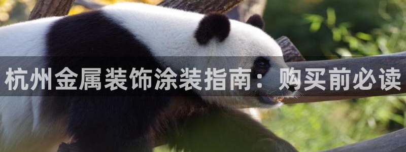 美高梅档次