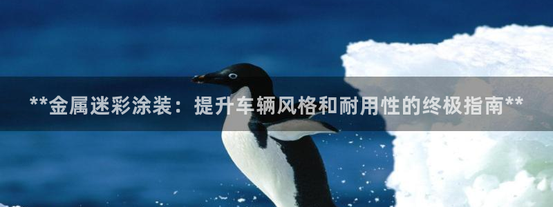 美高梅酒店入住率