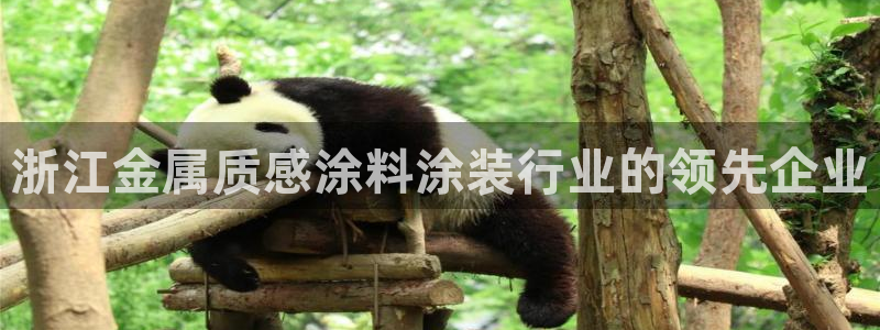 美高梅是哪个国家的连锁酒店