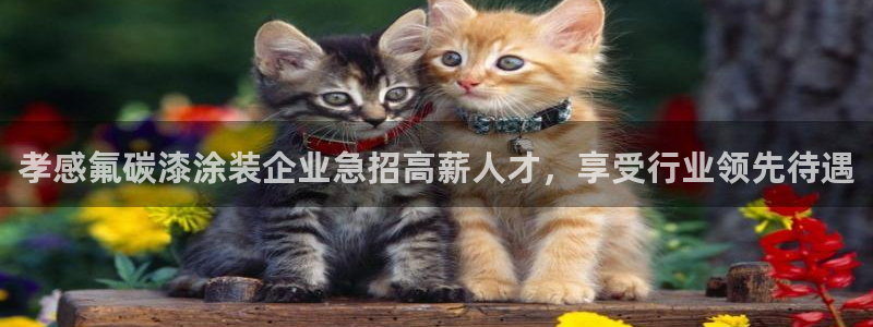美高梅剧院官网
