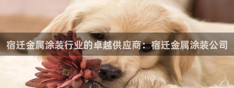 美高梅会员卡要输多少