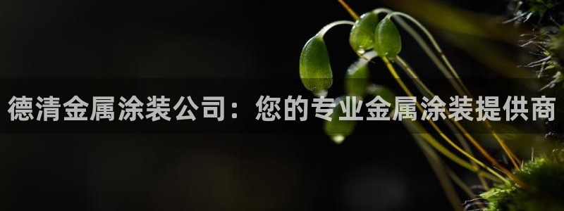 美高梅酒店如何预订