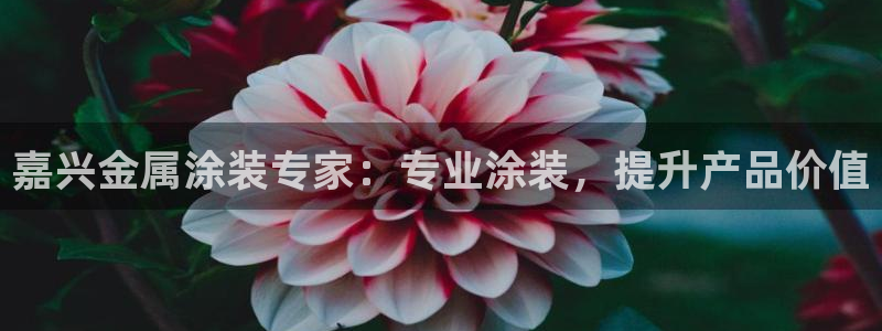 美高梅租房