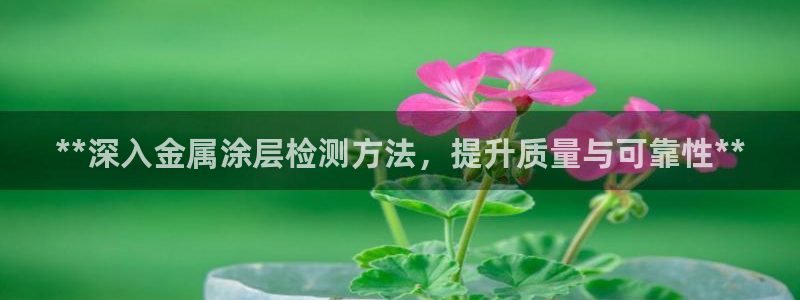美高梅集团总部在哪