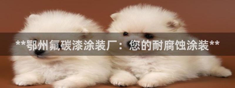 美高梅国际俱乐部是做什么的