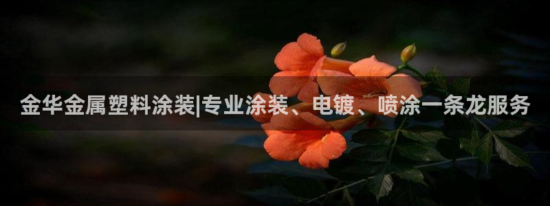 美高梅酒店青岛12888自助