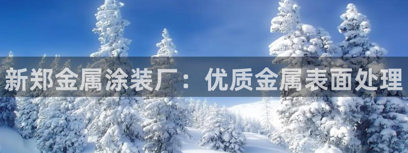 美高梅狮王卡值多少钱